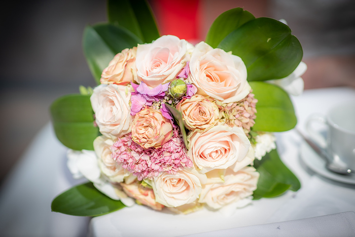 Ein Foto aus dem Album