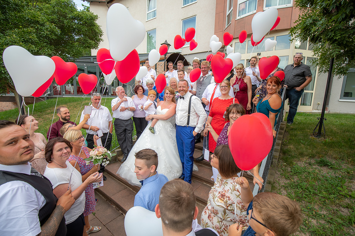 Ein Foto aus dem Album