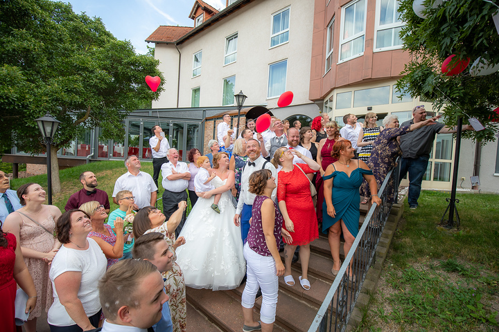 Ein Foto aus dem Album