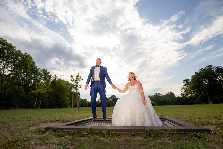 Ein Foto aus dem Album