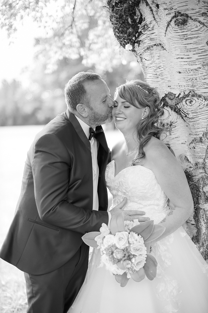 Ein Foto aus dem Album