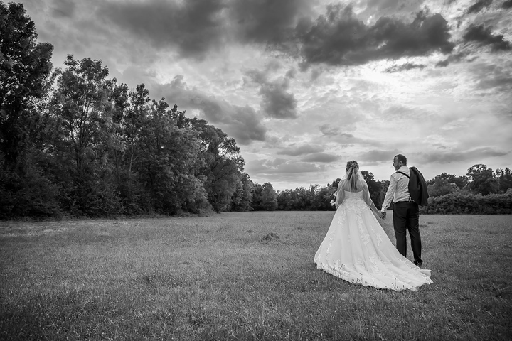 Ein Foto aus dem Album