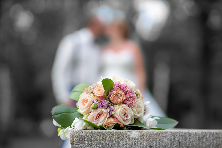 Ein Foto aus dem Album